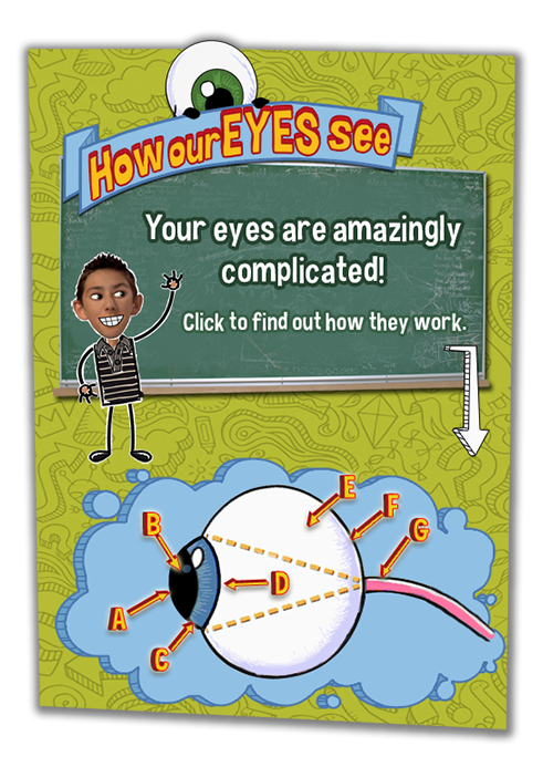 Click for an interactive diagram of the human eye.