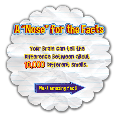 Click for the next amazing fact.