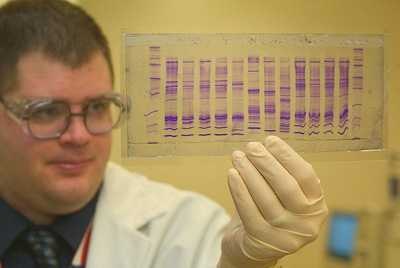 man in lab coat holding up transparency with a DNA profile on it