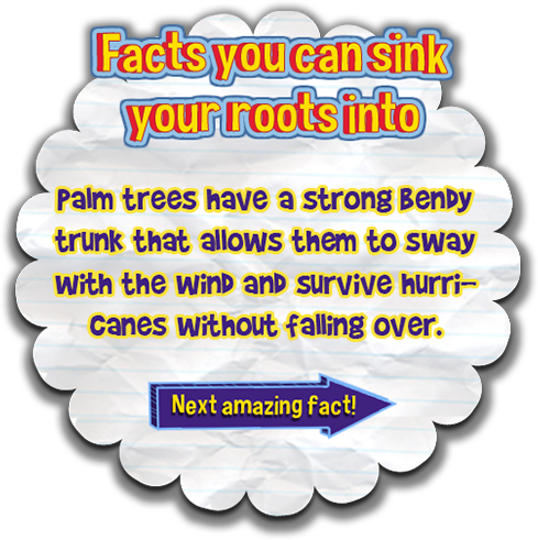 Click for the next amazing fact.